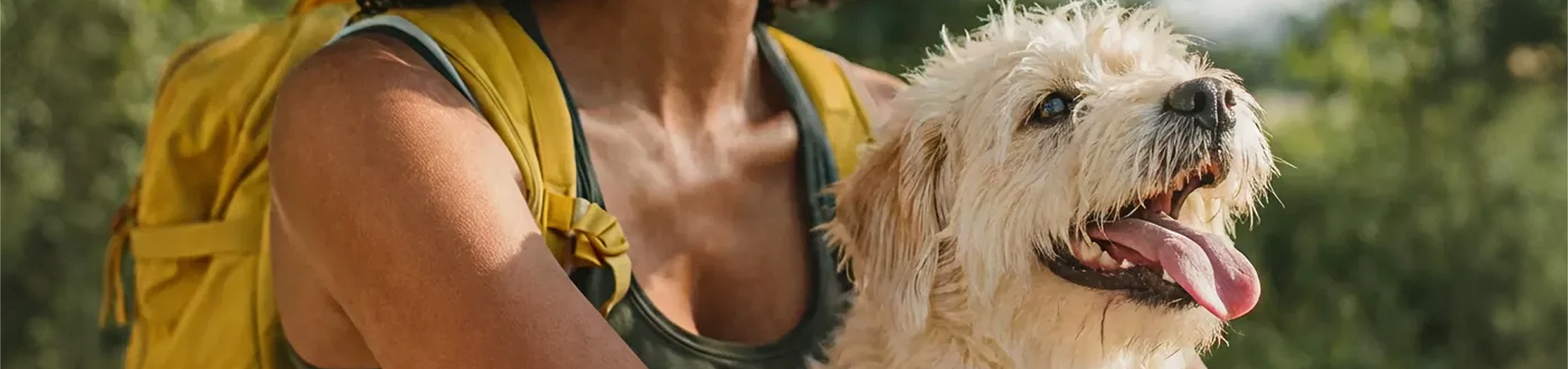 collection-banner-image